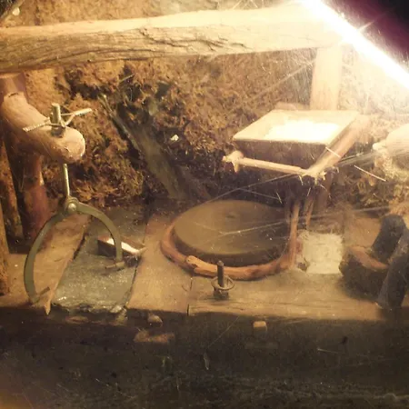 El Recreo De San Martin Sl